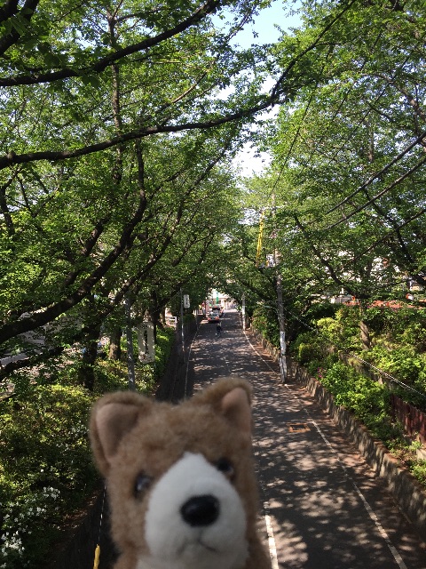 f:id:ametama-radio:20150502161533j:image f:id:ametama-radio:20150502161533j:image