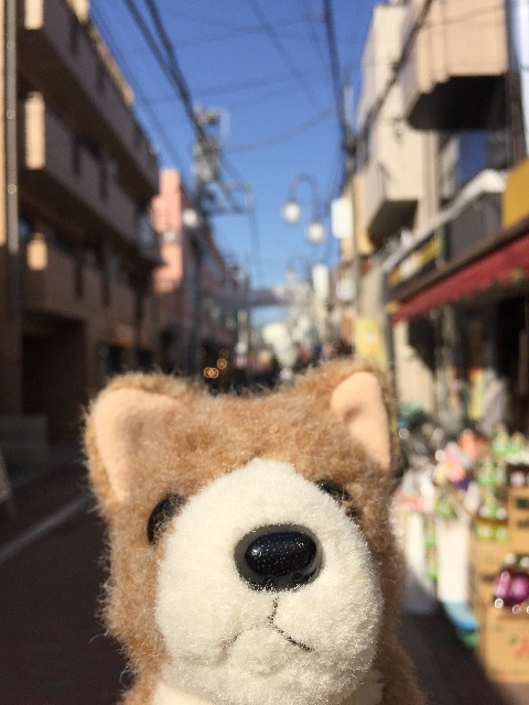 f:id:ametama-radio:20150503172333j:image f:id:ametama-radio:20150503172333j:image