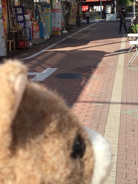 f:id:ametama-radio:20150503172524j:image f:id:ametama-radio:20150503172524j:image