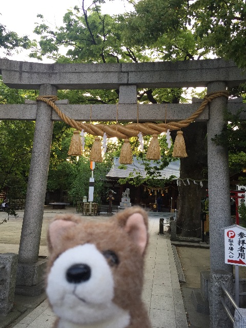 f:id:ametama-radio:20150503172909j:image f:id:ametama-radio:20150503172909j:image
