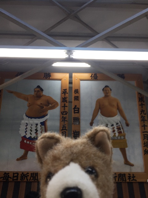 f:id:ametama-radio:20150510000048j:image f:id:ametama-radio:20150510000048j:image