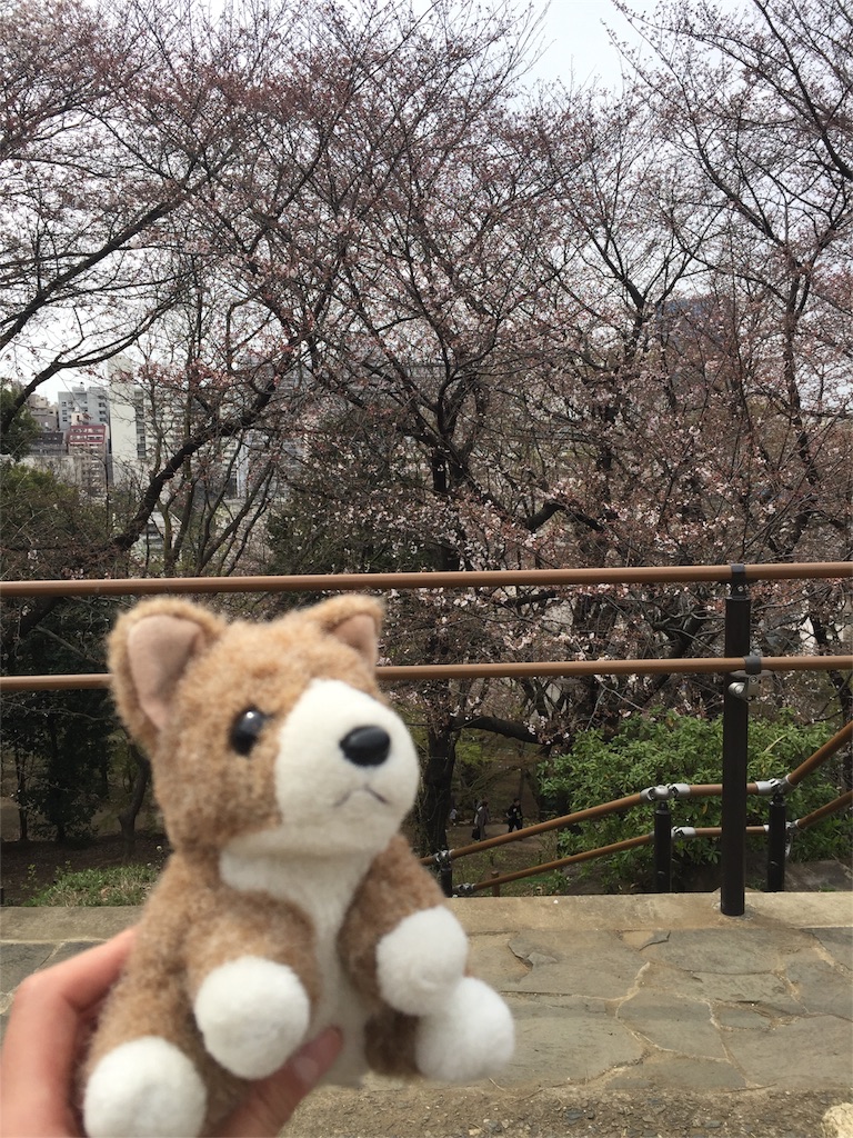f:id:ametama-radio:20160330172137j:image f:id:ametama-radio:20160330172137j:image
