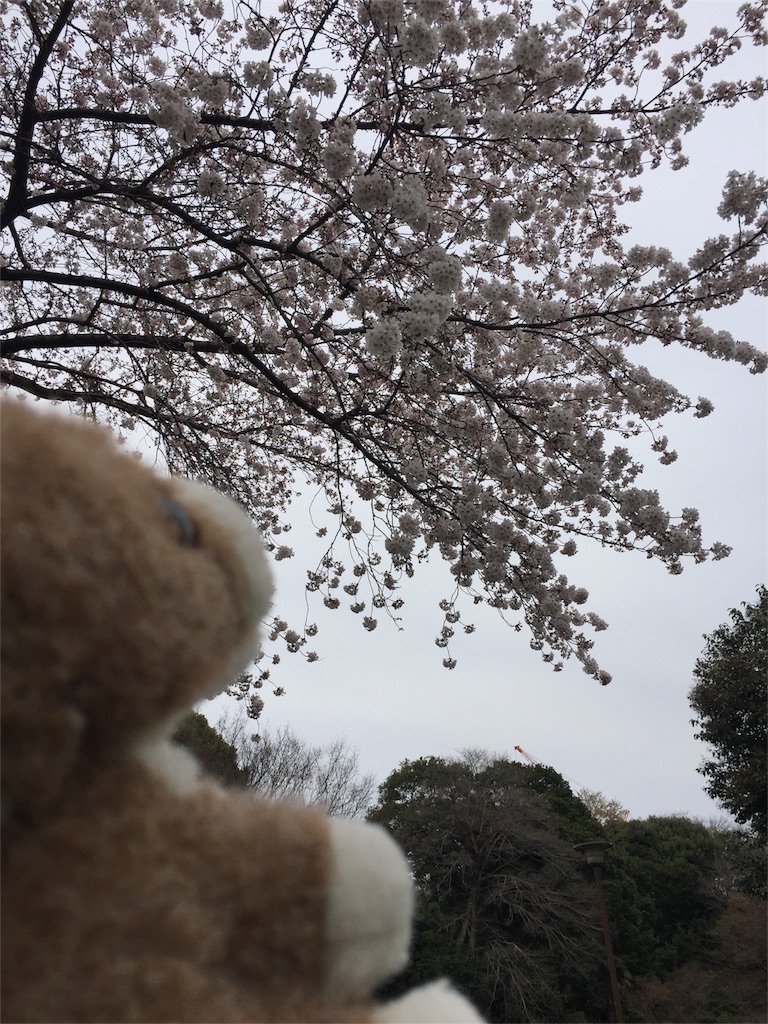 f:id:ametama-radio:20160330172158j:image f:id:ametama-radio:20160330172158j:image