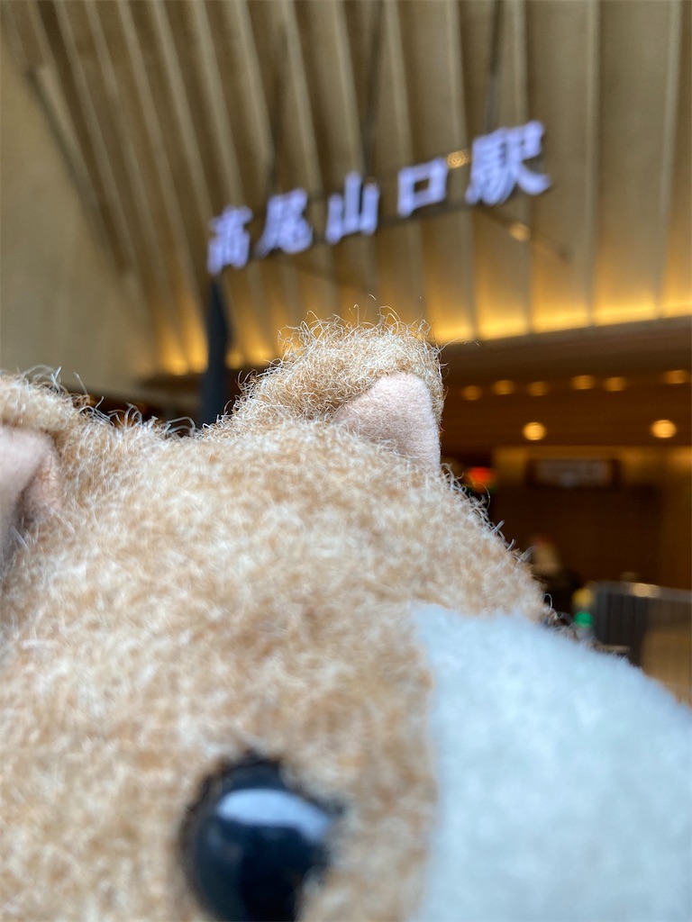 f:id:ametama-radio:20210321130021j:image f:id:ametama-radio:20210321130021j:image