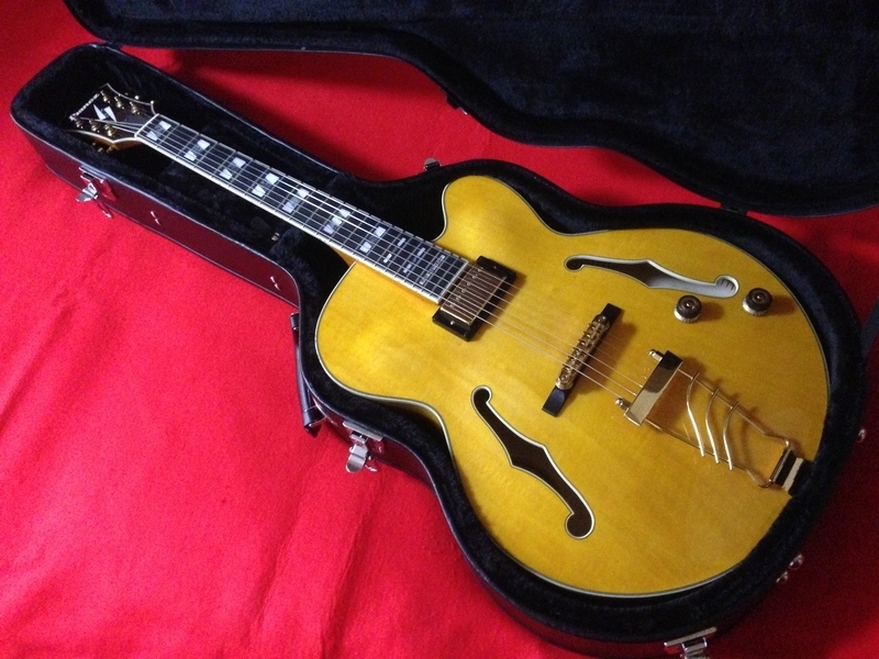 Ibanez PM2 AA パットメセニー Pat Metheny 【公式通販】