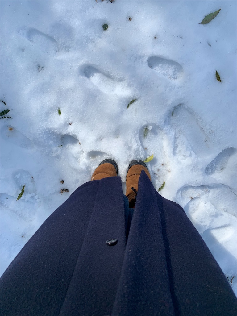 f:id:ametutsi:20190202225425j:image