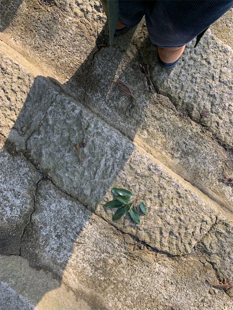 f:id:ametutsi:20190205151646j:image