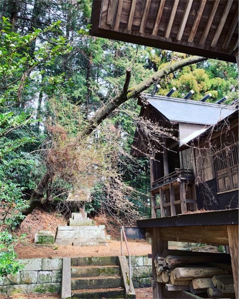 f:id:ametutsi:20190412172501j:image