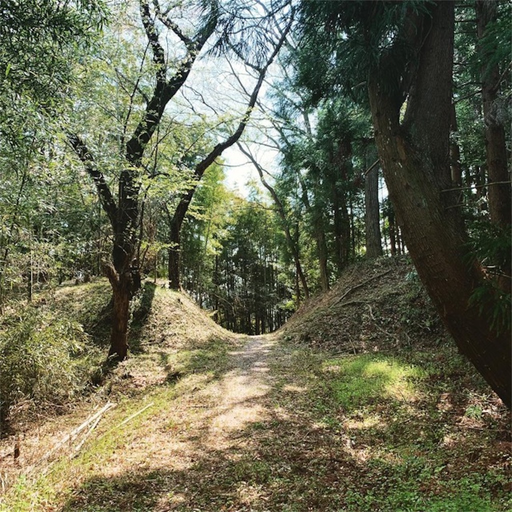 f:id:ametutsi:20190422232651j:image
