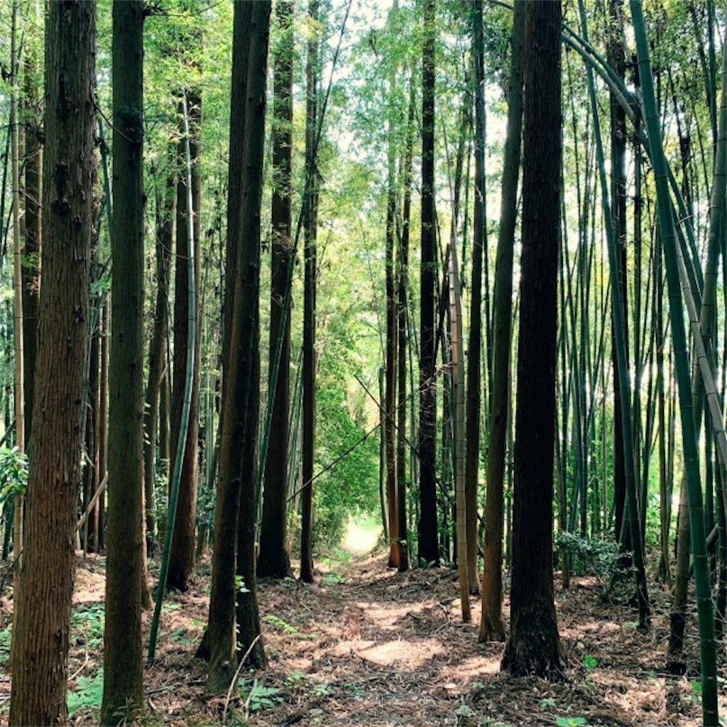 f:id:ametutsi:20190521224850j:image
