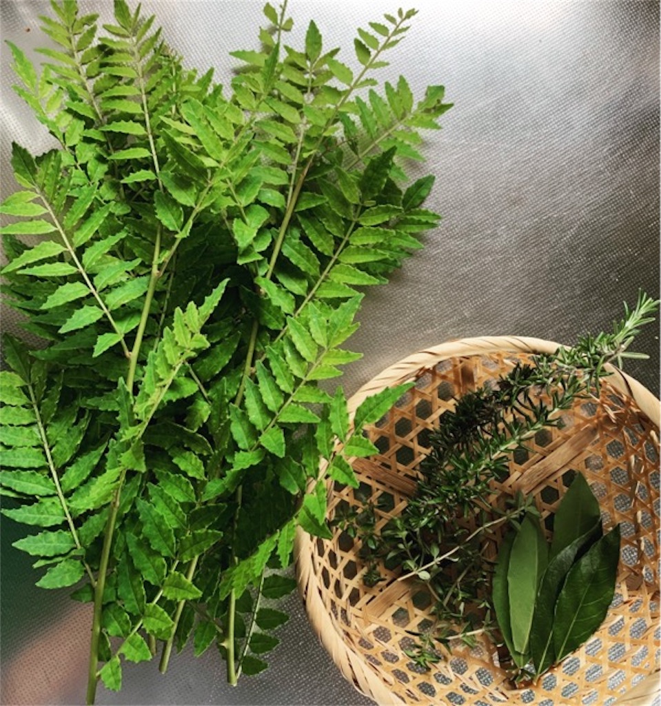 f:id:ametutsi:20190617232602j:image