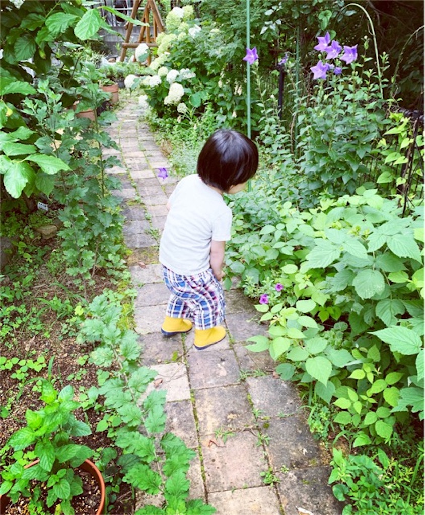 f:id:ametutsi:20190718183851j:image
