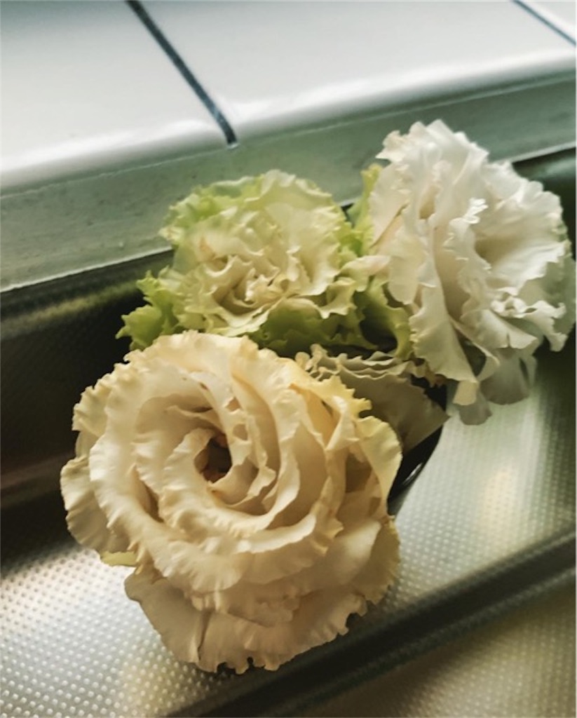 f:id:ametutsi:20190824233531j:image