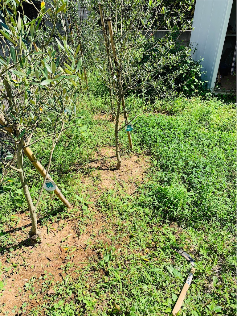 f:id:ametutsi:20190826170917j:image