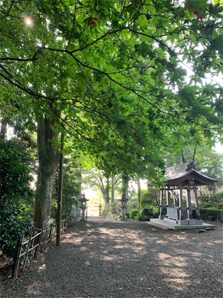 f:id:ametutsi:20190906150814j:image f:id:ametutsi:20190906150814j:image