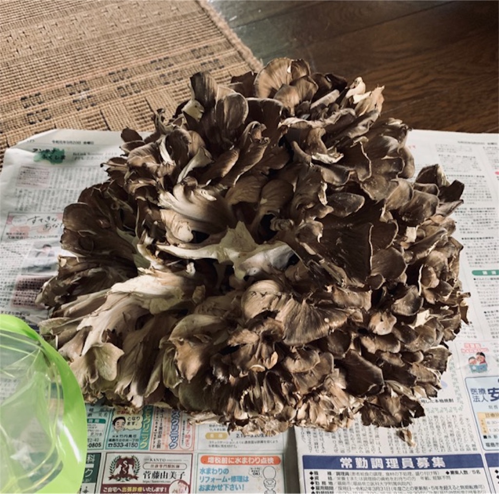 f:id:ametutsi:20191007203511j:image