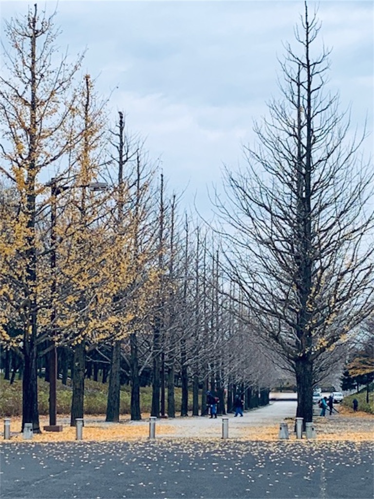 f:id:ametutsi:20191128061912j:image