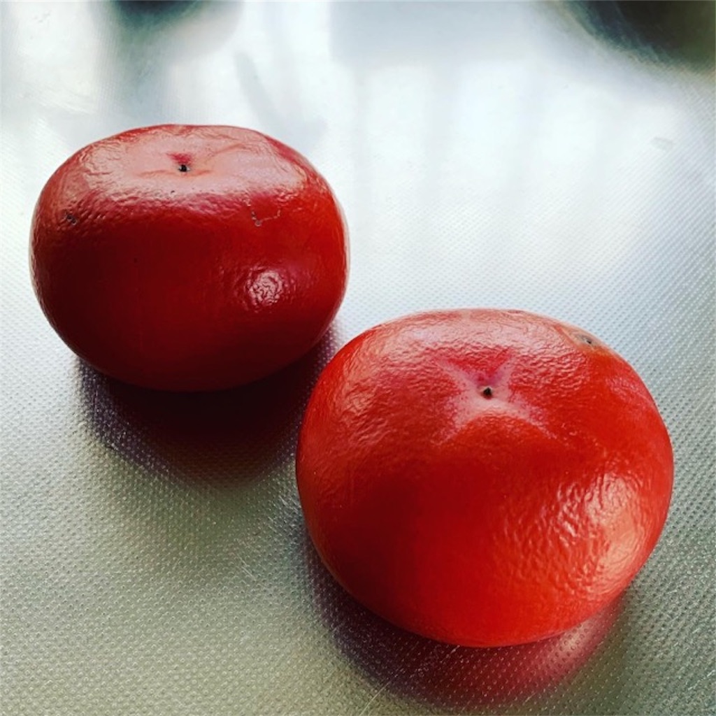 f:id:ametutsi:20191128061921j:image