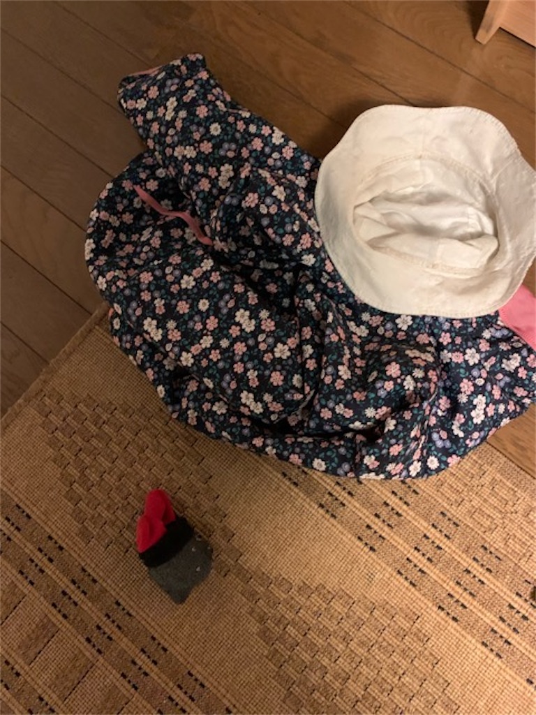 f:id:ametutsi:20191204052843j:image f:id:ametutsi:20191204052843j:image
