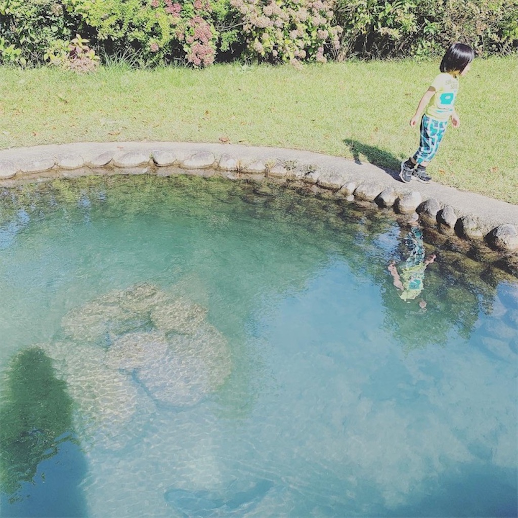 f:id:ametutsi:20201002220532j:image