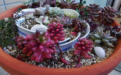 f:id:amezakurakka:20121212214542j:image f:id:amezakurakka:20121212214542j:image