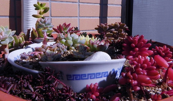 f:id:amezakurakka:20130220161341j:image f:id:amezakurakka:20130220161341j:image