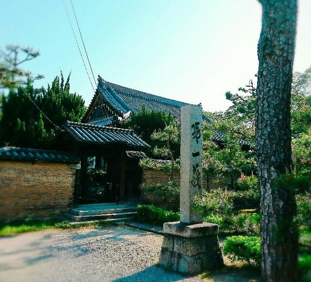 f:id:amgmc:20180421175226j:image