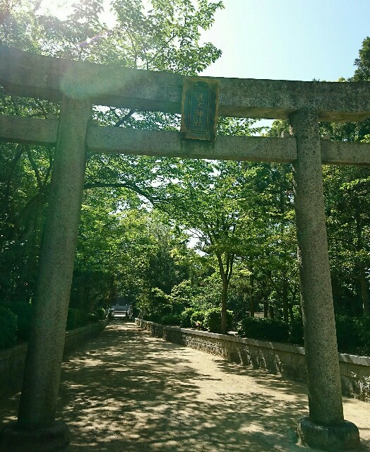 f:id:amgmc:20180428172745j:image
