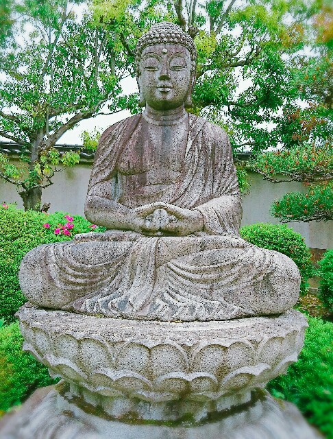 f:id:amgmc:20180430181519j:image