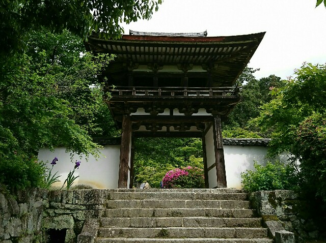 f:id:amgmc:20180503181352j:image