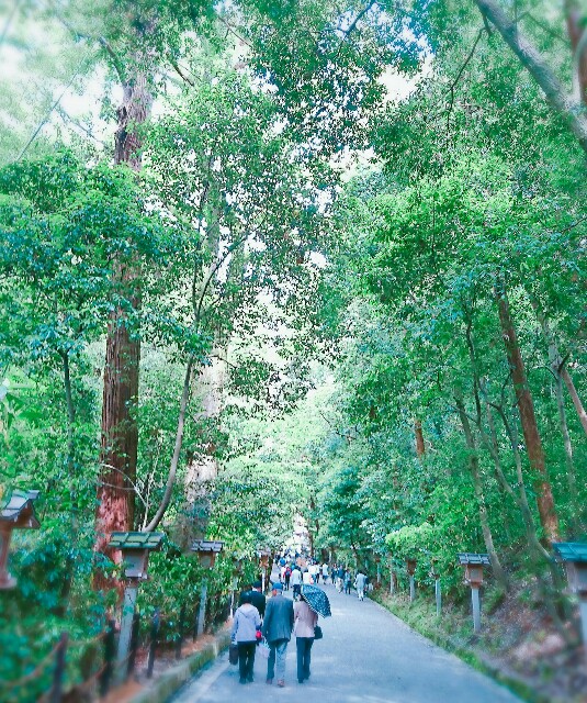 f:id:amgmc:20180503181837j:image