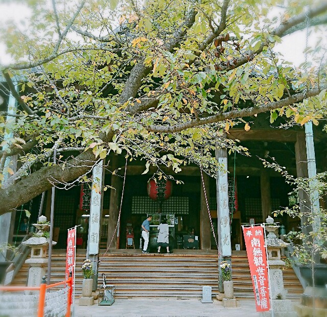 f:id:amgmc:20180926175951j:image