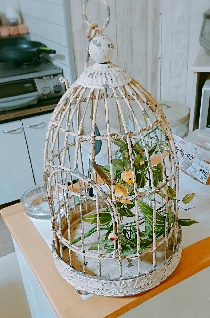 f:id:amgmc:20181004151857j:image