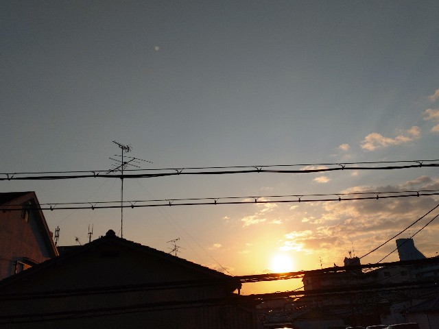 f:id:amgmc:20220306070111j:image f:id:amgmc:20220306070111j:image