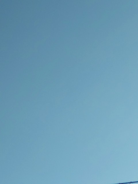 f:id:amgmc:20220306075630j:image f:id:amgmc:20220306075630j:image