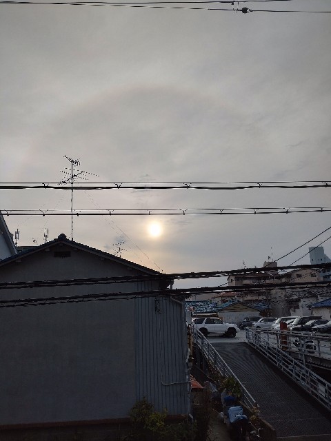 f:id:amgmc:20220402065411j:image f:id:amgmc:20220402065411j:image