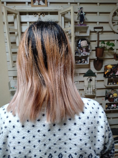 f:id:amgmc:20220402170610j:image f:id:amgmc:20220402170610j:image