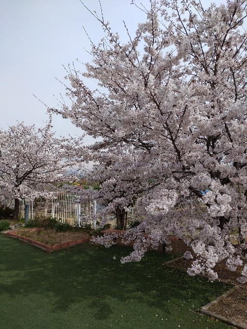 f:id:amgmc:20220402171843j:image f:id:amgmc:20220402171843j:image