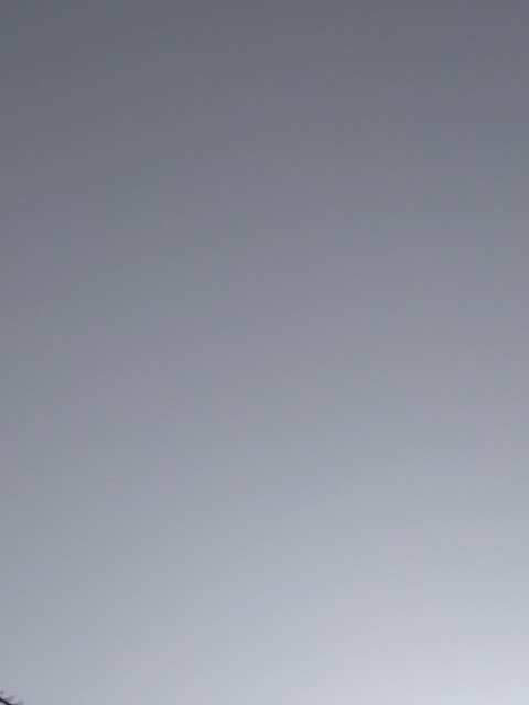 f:id:amgmc:20220410080650j:image