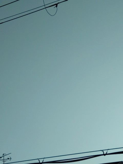 f:id:amgmc:20220420083134j:image