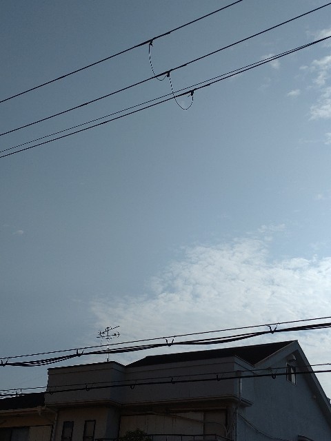 f:id:amgmc:20220423173849j:image