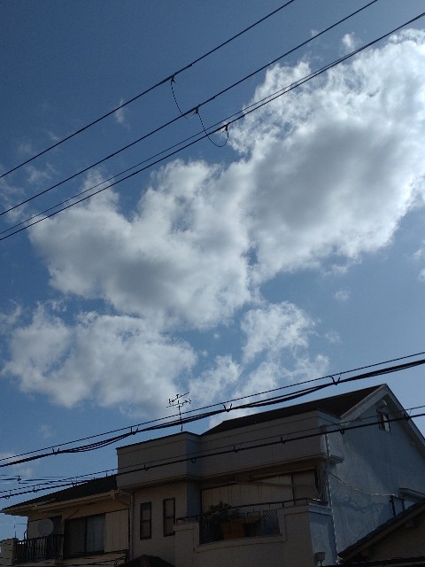 f:id:amgmc:20220430085938j:image