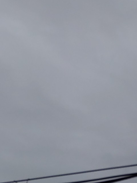 f:id:amgmc:20220513085540j:image