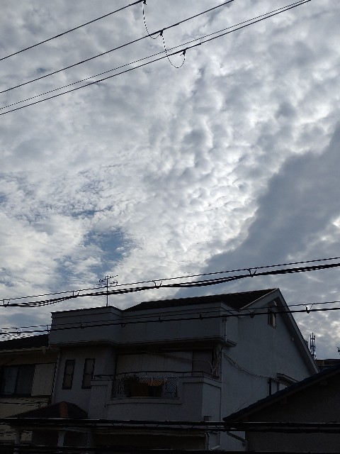 f:id:amgmc:20220515075104j:image