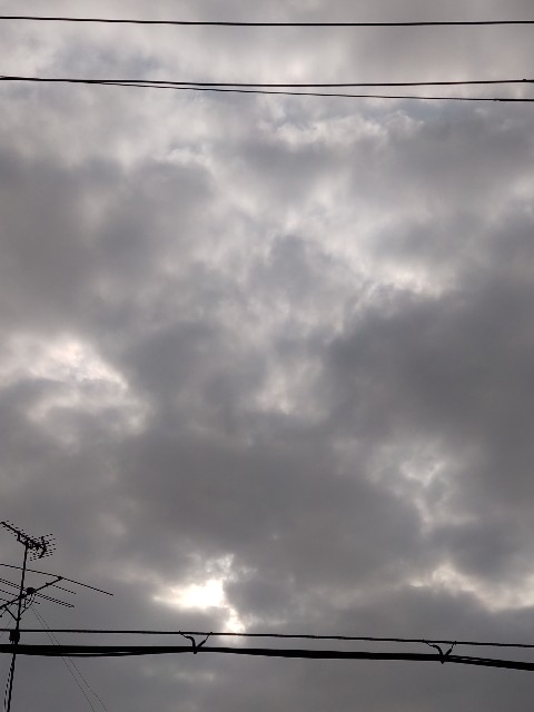 f:id:amgmc:20220824082540j:image