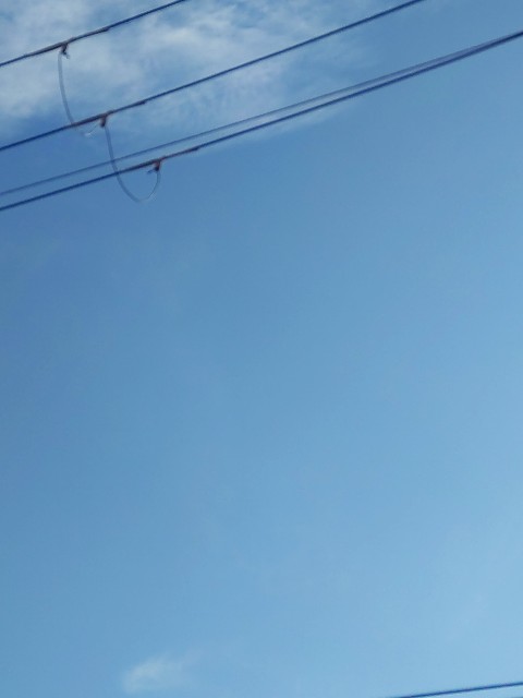 f:id:amgmc:20221004084042j:image