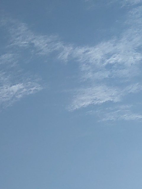 f:id:amgmc:20221110093416j:image