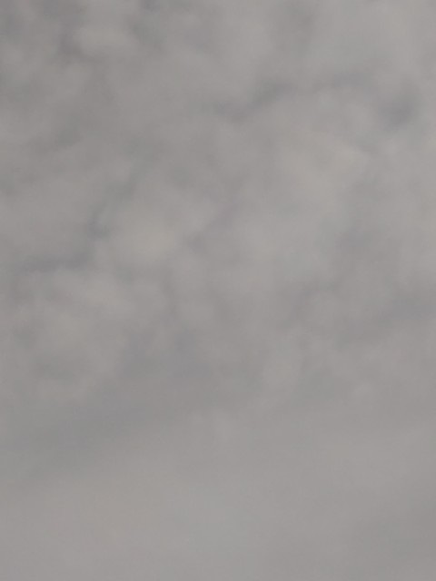 f:id:amgmc:20221128100940j:image f:id:amgmc:20221128100940j:image