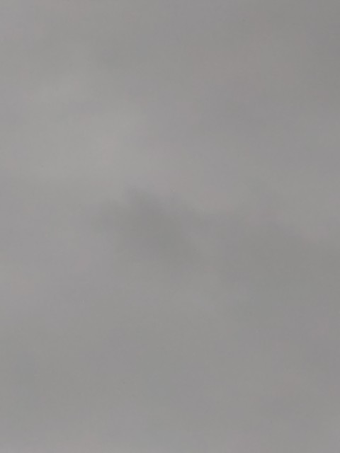 f:id:amgmc:20221129170922j:image f:id:amgmc:20221129170922j:image