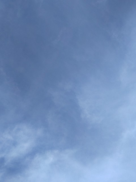 f:id:amgmc:20221203162521j:image